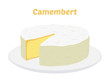 Vector camembert cheese on plate. Slice, chunk on porcelain tray. Cartoon flat style