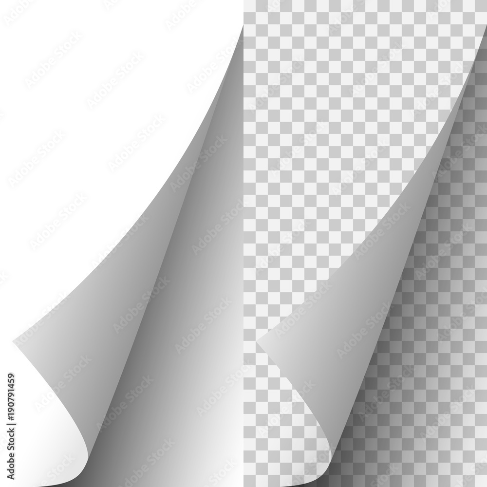 Vector white realistic paper page corner - obrazy, fototapety, plakaty 