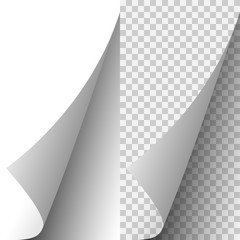 Leinwandbilder - Vector white realistic paper page corner