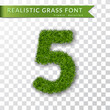 Grass number five. Green number five, isolated on white transparent background. Green grass 3D 5, fresh symbol nature, plant lawn, summer. Grass spring font. Beautiful eco design. Vector illustration