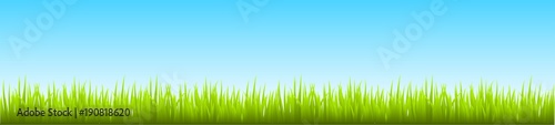Field, green grass with blue sky - stock vector