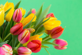 Fototapeta Tulipany - A colorful spring greetings card with tulips for Easter, Mother's Day.