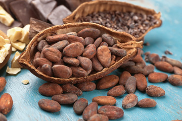 Wall Mural - Half of cocoa pod with beans on wooden background