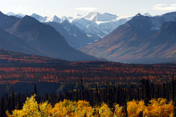 Wall Mural - Denali Range Autumn Color Alaska Wilderness Winter Season
