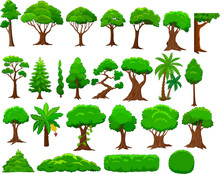 Set Of Cartoon Trees And Bushes
