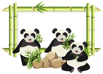 Sticker - Border template with cute panda and bamboo