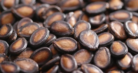 Canvas Print - Stack of Black Melon Seeds