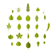 Leaf icons set. Flat illustration of 25 leaf vector icons isolated on white background