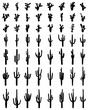 Black silhouettes of different cactus on a white background