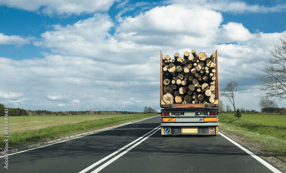transport drewna ciężarówką - obrazy, fototapety, plakaty 