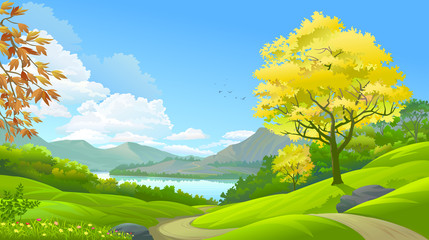 Wall Mural - a forest in a paradise