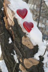 Two red heart shaped figurines on the snow on a tree