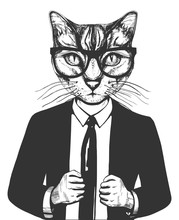 Cat In Suit And Glasses
