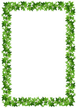 Vector Background Frame With Green Ivy Leaves On A White Background.