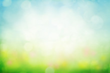 Sunny Spring Meadow Blur Background