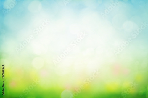 Sunny spring meadow blur background