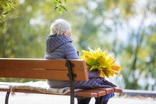 Senior Woman Sitting On Bench In Park
