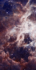 Wall Mural - stars nebula in space.