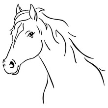 Black Line Horse Sketch Vector Illustration