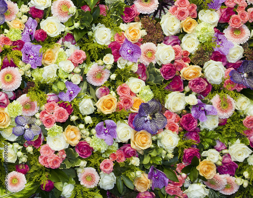 fondo de flores de colores