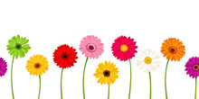 Vector Horizontal Seamless Background With Colorful Gerbera Flowers.