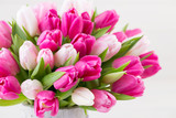 Fototapeta Tulipany - Pink tulip on the white background. Easter background