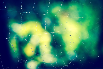 Water on Cobweb Retro