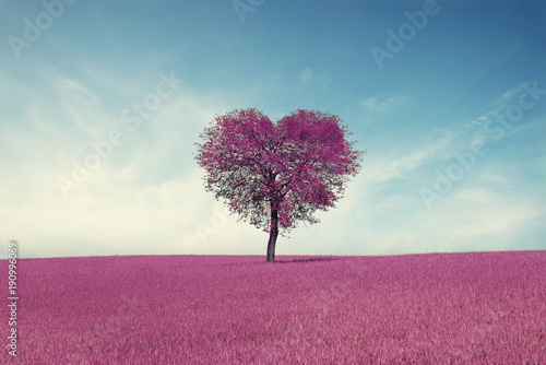 abstract-field-with-heart-shape-tree-under-blue-sky-beauty-nature-valentine-concept-background