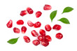 pomegranate seeds with leaves isolated on white background. Top view. Flat lay pattern