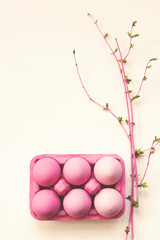 Wall Mural - Pink ombre easter eggs on white background with pink colored branches in bloom; easter background with copy space