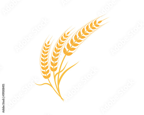 Cuadros en Lienzo Agriculture wheat Logo Template