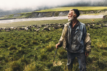 Shepherd With Sheep On The Field In Mountains, Front View. Agriculture Concept