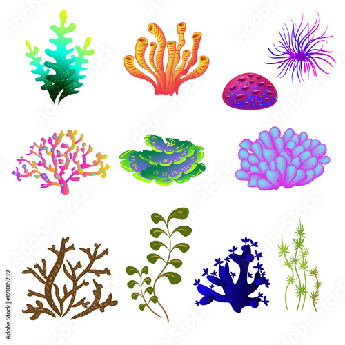 Vector set of underwater plants. Underwater plant, ocean and sea plant ...