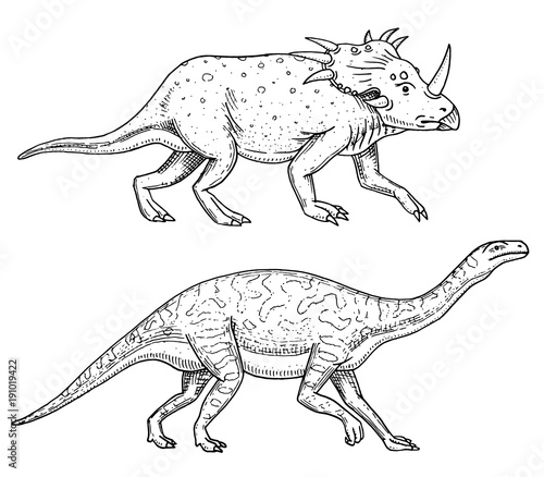 Dinosaur Triceratops Barosaurus Apatosaurus Tenontosaurus