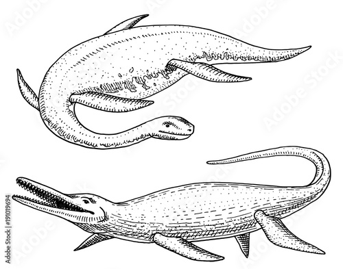 Dinosaurs Elasmosaurus, Mosasaurus, skeletons, fossils, winged lizard Poster