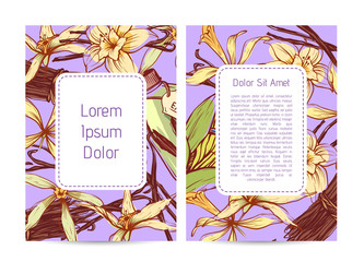 Wall Mural - Vanilla spice banner set with space for text. Exotic food spice or parfum industry component vector illustration. Vanilla flower sticks, leaves and extract oil bottle isolated on colorful background.