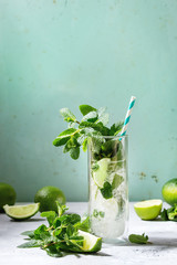 Wall Mural - Glass of classic mojito cocktail with fresh mint, limes, crushed ice, retro cocktail tubes with ingredients above. Pin up style, sunlight, green background.