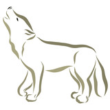 Fototapeta Konie - A wolf, a dog painted in flowing lines