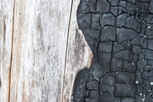 Burned Wood Texture Close Up