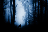 Fototapeta  - wolf silhouette in dark fantasy forest