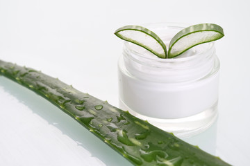 Composition of aloe vera. Concept of beauty cream derived from Aloe, natural medicine and care for the body due to its therapeutic properties, lifting, rejuvenation and Nature