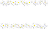 Fototapeta Lawenda - Vector illustration. Daisies (flowers) on a green background. Spring background. 