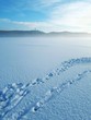 Sunny winterday in Finland