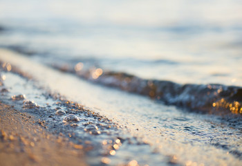 Wall Mural - seashore during sunset. beautiful natural concept and idea