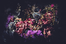 Bouquet Of Dried Flowers. Dark Floral Background