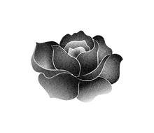 Vector Black White Rose Silhouette On White Background. Stipplism Dots Art