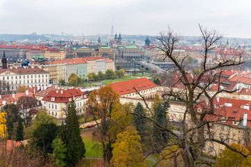 Wall Mural - Prague panorama from Prague Hill with Prague Castle with tree skeleton and historical architecture. Concept of Europe travel, sightseeing and tourism.