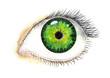 © Anastasiya07 - Beautiful female eye. Pupil with the universe inside. Watercolor illustration.