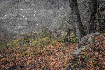 Canvas Print - abandoned territories and buildings