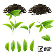 Realistic vector elements set of tea (fresh leaves and pile dry tea)